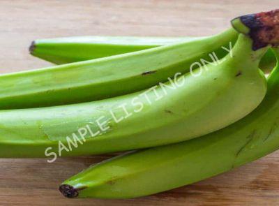 Sierra Leone Green and Yellow Plantain